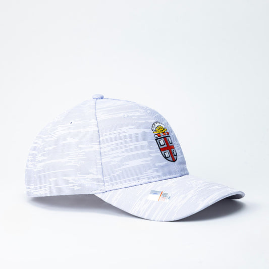 AHEAD CAP (ブラウンユニバーシティー)